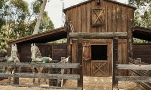 1780431122980-961-topanga-estates-mountains-32