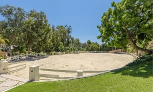 1aa44058b7abef9fe378ebc2b700ca94-uncropped_scaled_within_1344_1008