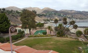 20161112-125311-largejpg