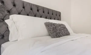 6e0e27688cbd2d20fc5b5427f2bcc200-o_a