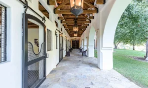 6ecca988889bbf30c37647d1a7f0a8b4-uncropped_scaled_within_1344_1008