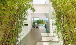 788c11aa85ae49d9b6e5b15761972a6a-uncropped_scaled_within_1344_1008