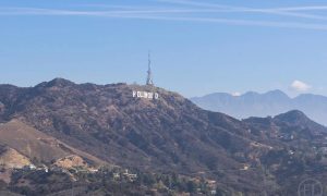 Hollywood Sign View
