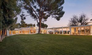 Lawn 2