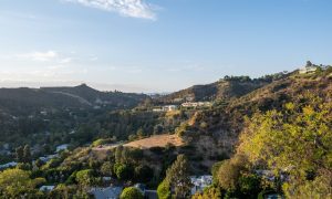 Photo Aug 18, 6 20 04 PM (6)