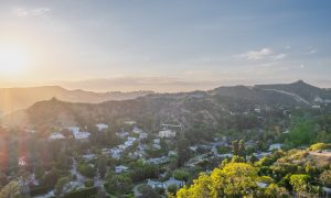 Photo Aug 18, 6 20 04 PM (7)