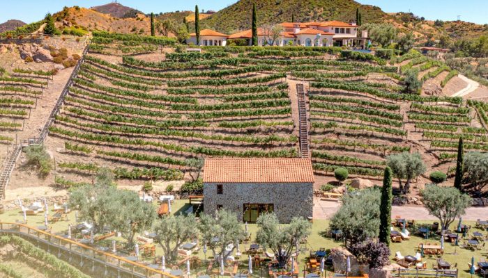 Screenshot 2025-12-26 212819