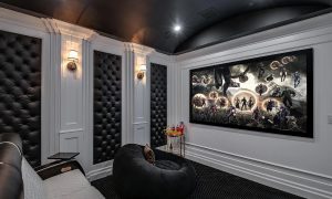 Theater room (1)