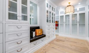 Walk-in Closet (1)