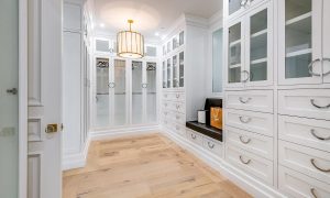 Walk-in Closet (2)