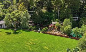 eda1c7638ea2907cb2a257dff9037645-uncropped_scaled_within_1536_1152