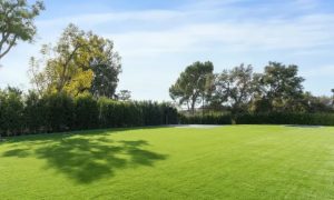 n8n67vfcbsgxsbek3jrc